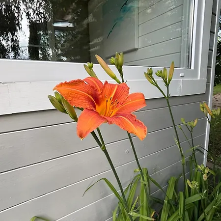 I Primore Habitación en casa particular